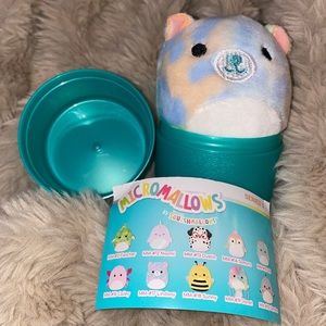 Rainbow Bear Mini Surprise Squishmallow